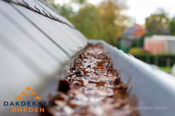 Verstopte dakgoot met bladeren schoonmaken in Rheden Verstopte dakgoot met bladeren schoonmaken in Rheden