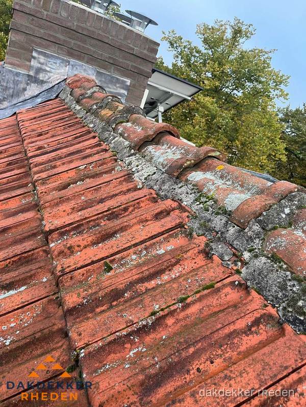 Verweerd hellend dak met mosgroei op nokvorst in Rheden Verweerd hellend dak met mosgroei op nokvorst in Rheden