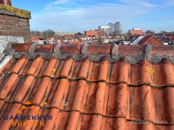 Pannendak met nokvorst en schoorsteen, dakrenovatie in Rheden Pannendak met nokvorst en schoorsteen, dakrenovatie in Rheden