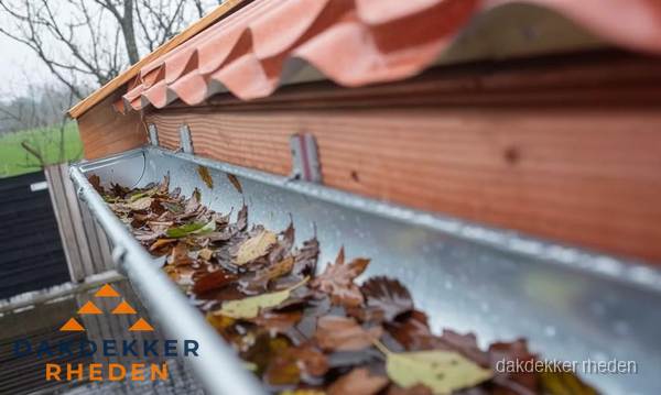 Dakgoot vol bladeren die gereinigd moet worden in Rheden Dakgoot vol bladeren die gereinigd moet worden in Rheden