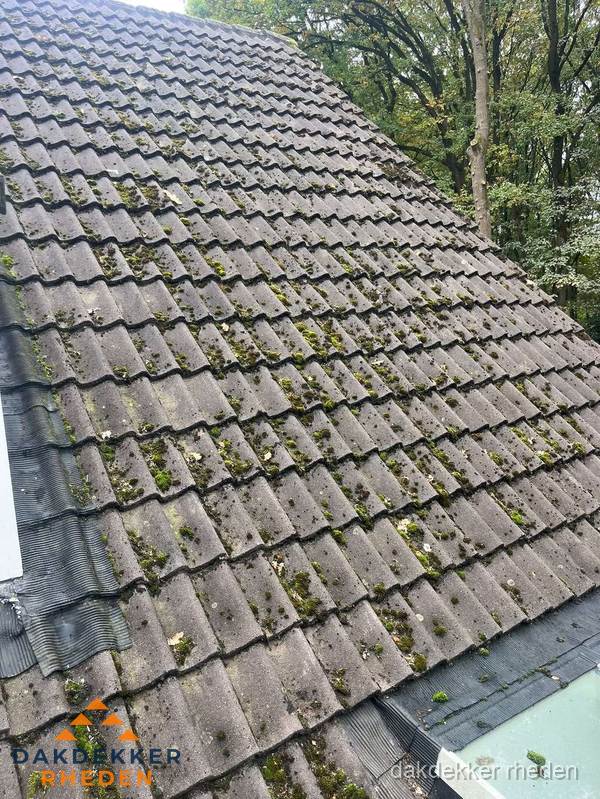 Verweerd pannendak met mosgroei dat renovatie nodig heeft in Rheden Verweerd pannendak met mosgroei dat renovatie nodig heeft in Rheden